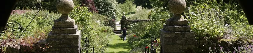 floral garden in the cotswolds